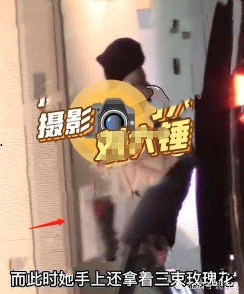 王嘉尔爆料恋情视频全集,甜蜜瞬间与甜蜜告白