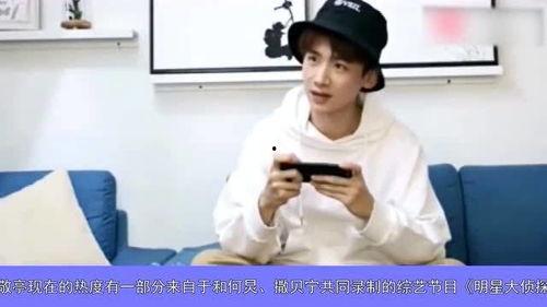 白敬亭娱乐圈吃瓜,娱乐圈吃瓜达人，揭秘明星幕后故事  第2张