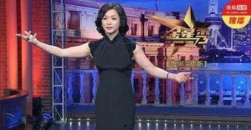 金星爆料娱乐评论大赏,年度娱乐风云人物盘点 第2张 金星爆料娱乐评论大赏,年度娱乐风云人物盘点 第2张