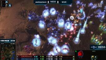 中国星际争霸爆料视频完整版,中国电竞战队备战新篇章  第2张