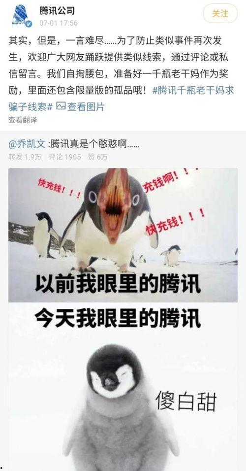 大鹅爆料间谍是真的吗视频,真相揭秘与视频分析  第3张